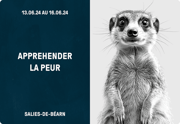 Vignette du site Self Collective